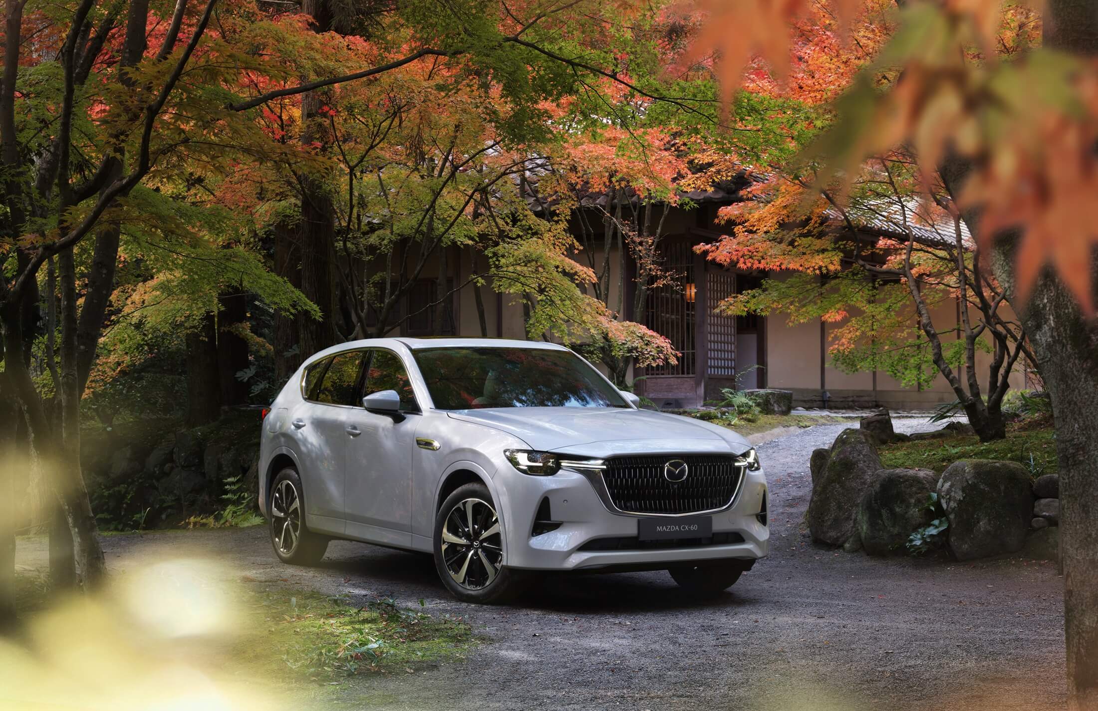 Cx 60 7